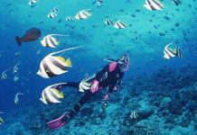 Sống 86 triệu năm không cần ăn uống Sống 86 triệu năm không cần ăn uống