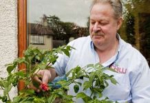 Giống ớt cay nhất thế giới