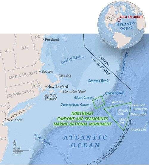 Thành lập vườn bảo tồn đại dương đầu tiên ở Đại Tây Dương