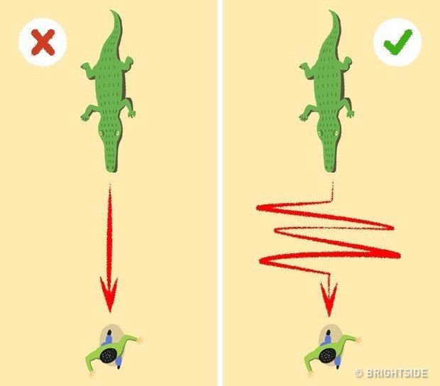 6 bí kíp sinh tồn có thể tự cứu mạng bạn mỗi khi “ngàn cân treo sợi tóc”