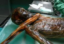 Người băng Otzi chết do tai nạn khi leo núi