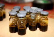 Phim quảng cáo bảo vệ gấu Phim quảng cáo bảo vệ gấu