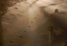 Những sự kiện bí ẩn đến rùng mình nhưng có thật Những sự kiện bí ẩn đến rùng mình nhưng có thật