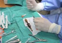 Xác định "xác ướp tí hon" là con người, giới tính nam