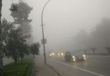 "Bí quyết bỏ túi" của các tay lái trong thời tiết sương mù