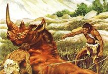 Những sự thật không ngờ về thời "ăn lông ở lỗ"