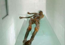 Những bí ẩn xung quanh người băng Ozti Những bí ẩn xung quanh người băng Ozti