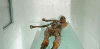 Những bí ẩn xung quanh người băng Ozti