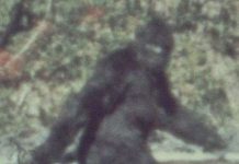 Quái vật chân to: Sự thực hay thần thoại?