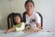 Phát hiện giống cá lạ ở Indonesia