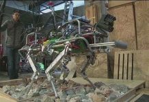 Italy phát triển loại robot bốn chân cho các vùng bị thảm họa