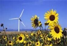 Thuyền chạy bằng dầu hướng dương! Thuyền chạy bằng dầu hướng dương!