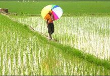 Những nhầm lẫn to về biến đổi khí hậu Những nhầm lẫn to về biến đổi khí hậu