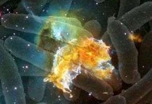 Có phải chúng ta đang làm bẩn không gian?