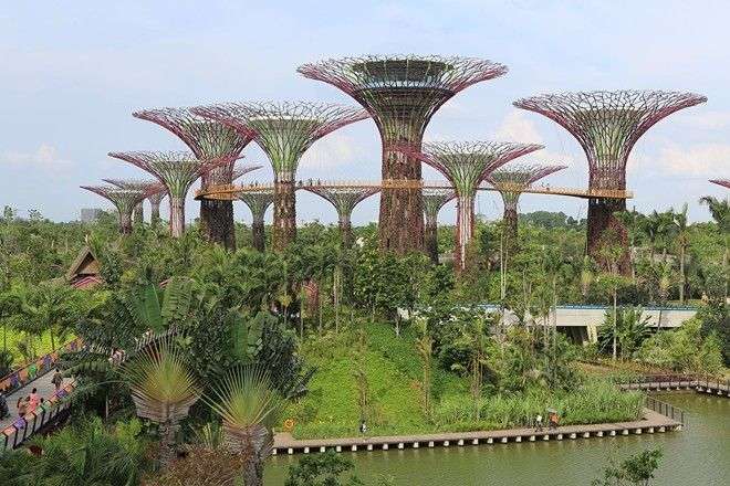 Chiến dịch biến Singapore thành công viên khổng lồ