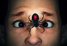 Video: Sẽ ra sao nếu bị loài nhện tàn độc nhất thế giới cắn? Video: Sẽ ra sao nếu bị loài nhện tàn độc nhất thế giới cắn?