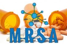 Tạo ra virus lai chống siêu vi khuẩn kháng kháng sinh