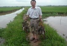 Nhà “khoa học nông dân”- khắc tinh của loài chuột