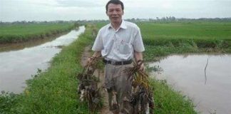 Nhà “khoa học nông dân”- khắc tinh của loài chuột