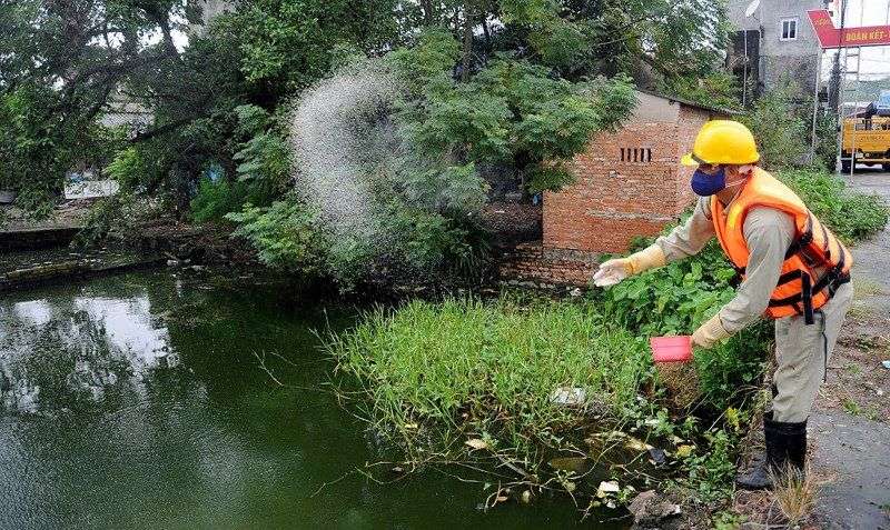 Chế phẩm của Đức giải cứu hồ bẩn ở Hà Nội