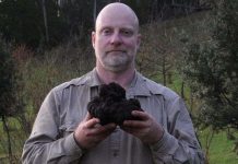 Nông dân Australia đào được nấm "kim cương đen" lớn kỷ lục