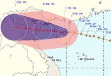 Tin bão khẩn cấp (Cơn bão số 7)