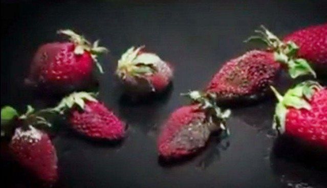 Vi khuẩn làm hỏng thức ăn ra sao?