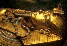 Pharaoh Tutankhamun bị chiến xa cán chết