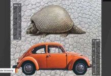 Tatu kỷ Băng Hà to bằng xe ôtô