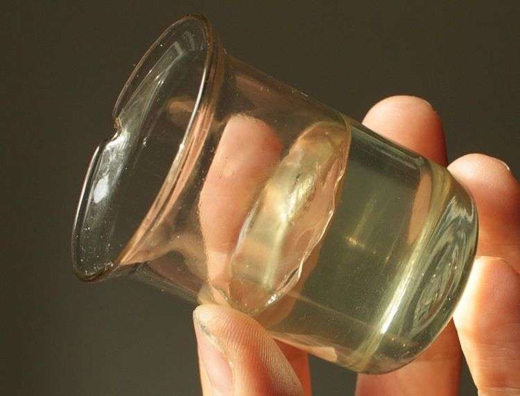 6 “sự thật” sai lầm trong sách giáo khoa phổ thông