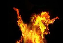 Hậu quả tàn khốc khi nhiệt độ Trái Đất thêm 4 độ C