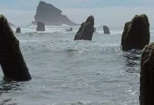 Bí ẩn cánh rừng ma 2000 năm tuổi