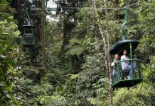 Rừng thứ sinh - Chìa khóa cho bài toán giảm khí thải