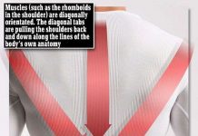 Áo chống đau lưng