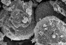 Biến lá cây thành thiết bị điện tử công nghệ cao