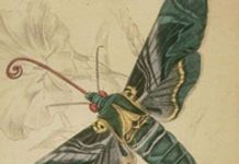 Những thí nghiệm khoa học thay đổi thế giới (I) Những thí nghiệm khoa học thay đổi thế giới (I)