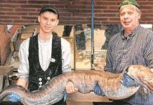 Bắt được con lươn biển “cụ” trăm tuổi Bắt được con lươn biển "cụ" trăm tuổi