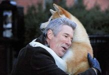 Khả năng "đọc vị" con người siêu phàm của loài chó