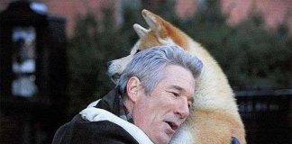 Khả năng "đọc vị" con người siêu phàm của loài chó