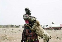 Bí ẩn loài thú phát ra tiếng cười man rợ