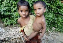 “Gạo mềm”… giúp giải quyết nạn đói