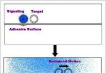 Lợi ích mới của sự phát tín hiệu hóa học