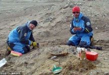 Tìm hiểu về sự hình thành hoá thạch trong tự nhiên (2) Tìm hiểu về sự hình thành hoá thạch trong tự nhiên (2)