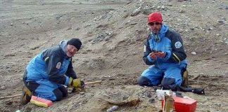 Tìm hiểu về sự hình thành hoá thạch trong tự nhiên (2)