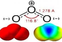 Ozone vừa hại phổi vừa làm suy yếu miễn dịch