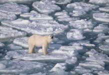Sự ấm lên ở Bắc Cực sẽ tác động tới Việt Nam