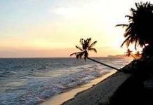 Bờ biển Việt Nam đang xói lở rất mạnh! Bờ biển Việt Nam đang xói lở rất mạnh!