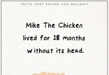 12 sự thật "siêu thú vị" khiến bạn kinh ngạc