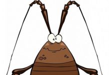 Tại sao gián chịu được bức xạ nhưng lại bị thuốc diệt côn trùng tiêu diệt?