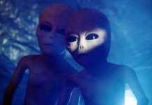 Người ngoài hành tinh tới trái đất nghỉ mát?